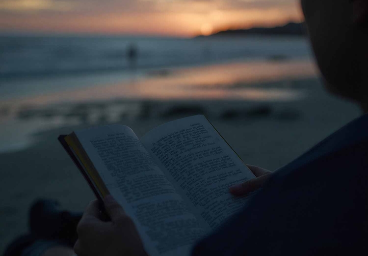 Reading a book on the beach